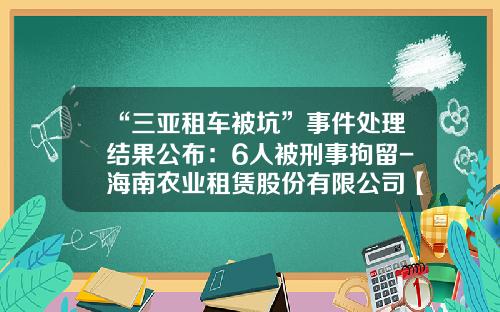 “三亚租车被坑”事件处理结果公布：6人被刑事拘留-海南农业租赁股份有限公司【新闻】