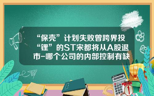 “保壳”计划失败曾跨界投“锂”的ST宋都将从A股退市-哪个公司的内部控制有缺陷