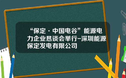 “保定·中国电谷”能源电力企业恳谈会举行-深圳能源保定发电有限公司