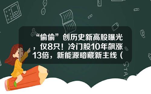 “偷偷”创历史新高股曝光，仅8只！冷门股10年飙涨13倍，新能源暗藏新主线（附股）-什么股票资讯最快