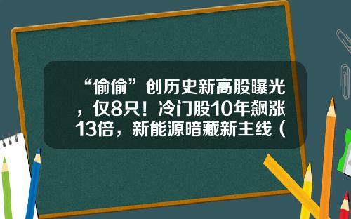 “偷偷”创历史新高股曝光，仅8只！冷门股10年飙涨13倍，新能源暗藏新主线（附股）-好快的股票资讯