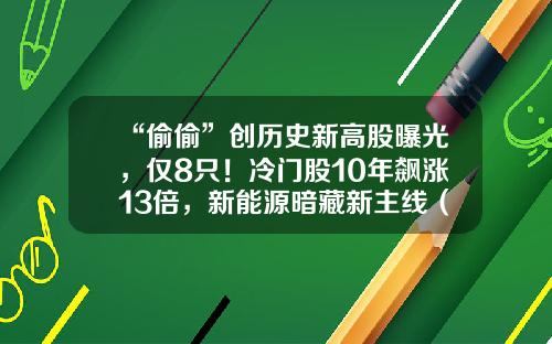 “偷偷”创历史新高股曝光，仅8只！冷门股10年飙涨13倍，新能源暗藏新主线（附股）-股票资讯新闻最快最齐全