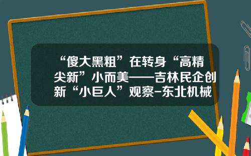 “傻大黑粗”在转身“高精尖新”小而美——吉林民企创新“小巨人”观察-东北机械制造有限公司
