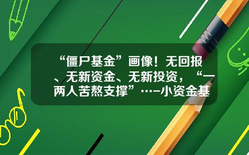 “僵尸基金”画像！无回报、无新资金、无新投资，“一两人苦熬支撑”…-小资金基金