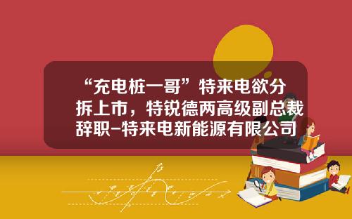 “充电桩一哥”特来电欲分拆上市，特锐德两高级副总裁辞职-特来电新能源有限公司股东