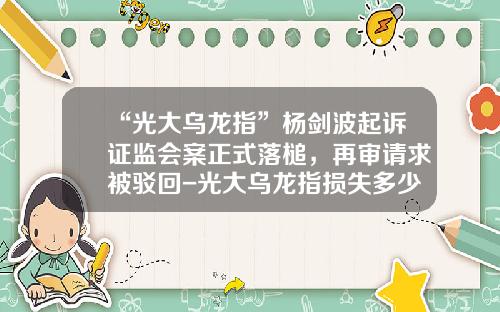 “光大乌龙指”杨剑波起诉证监会案正式落槌，再审请求被驳回-光大乌龙指损失多少钱