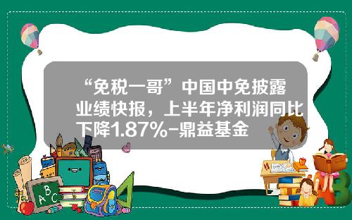 “免税一哥”中国中免披露业绩快报，上半年净利润同比下降1.87%-鼎益基金