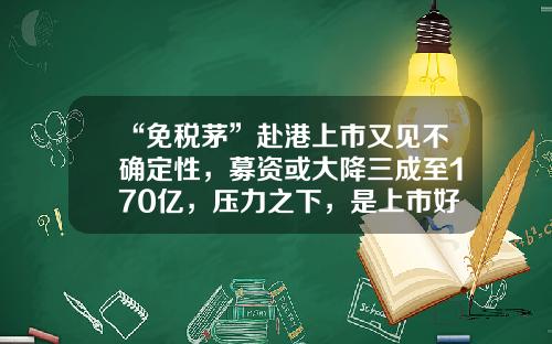 “免税茅”赴港上市又见不确定性，募资或大降三成至170亿，压力之下，是上市好时机吗-中赴投资基金
