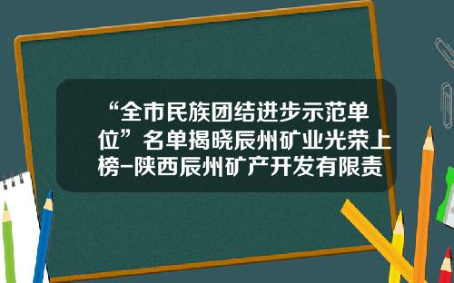 “全市民族团结进步示范单位”名单揭晓辰州矿业光荣上榜-陕西辰州矿产开发有限责任公司