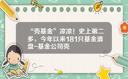 “壳基金”凉凉！史上第二多，今年以来181只基金清盘-基金公司壳