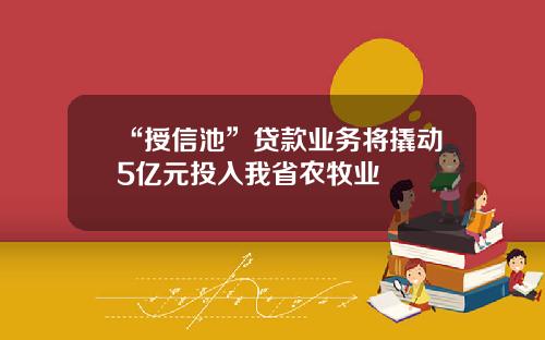 “授信池”贷款业务将撬动5亿元投入我省农牧业