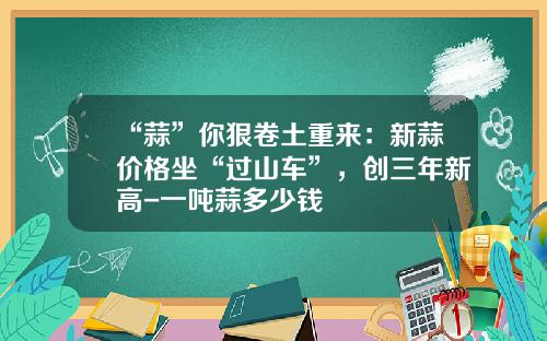 “蒜”你狠卷土重来：新蒜价格坐“过山车”，创三年新高-一吨蒜多少钱