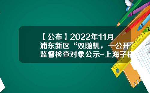 【公布】2022年11月浦东新区“双随机，一公开”监督检查对象公示-上海子桥投资管理有限公司
