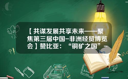 【共谋发展共享未来——聚焦第三届中国-非洲经贸博览会】赞比亚：“铜矿之国”-中国有多少家铜矿企业