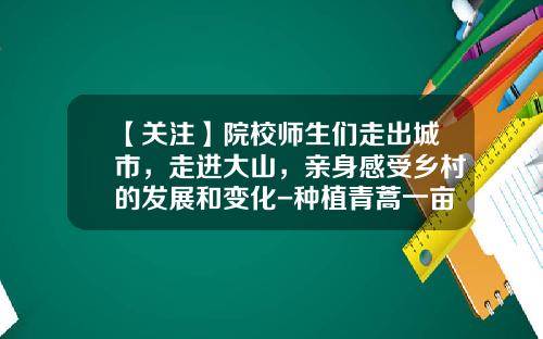 【关注】院校师生们走出城市，走进大山，亲身感受乡村的发展和变化-种植青蒿一亩地能收入多少钱