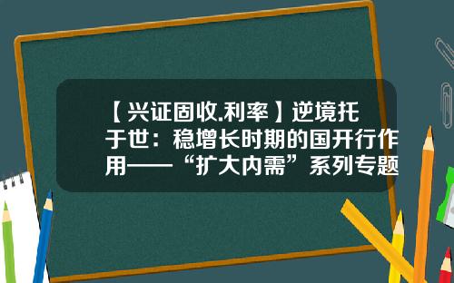 【兴证固收.利率】逆境托于世：稳增长时期的国开行作用——“扩大内需”系列专题三-2015准备金率是多少