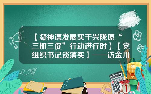 【凝神谋发展实干兴陇原“三抓三促”行动进行时】【党组织书记谈落实】——访金川集团党委书记、董事长王永前-金川公司董事长收入