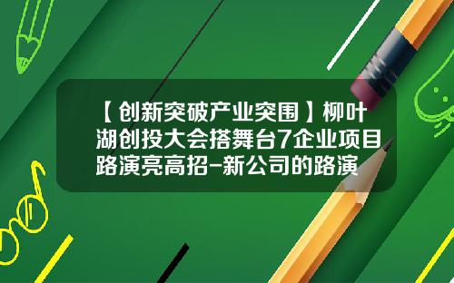 【创新突破产业突围】柳叶湖创投大会搭舞台7企业项目路演亮高招-新公司的路演