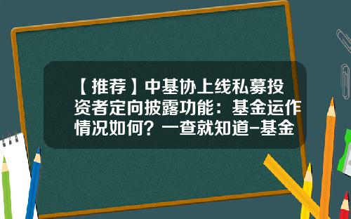 【推荐】中基协上线私募投资者定向披露功能：基金运作情况如何？一查就知道-基金公司系统