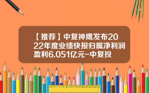 【推荐】中复神鹰发布2022年度业绩快报归属净利润盈利6.051亿元-中复投资科技有限公司