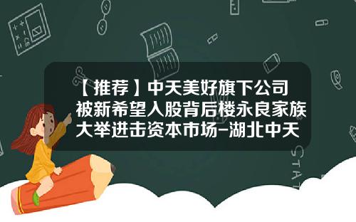 【推荐】中天美好旗下公司被新希望入股背后楼永良家族大举进击资本市场-湖北中天股份有限公司