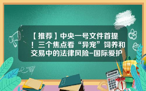 【推荐】中央一号文件首提！三个焦点看“异宠”饲养和交易中的法律风险-国际爱护动物基金会