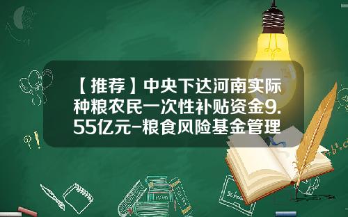 【推荐】中央下达河南实际种粮农民一次性补贴资金9.55亿元-粮食风险基金管理办法