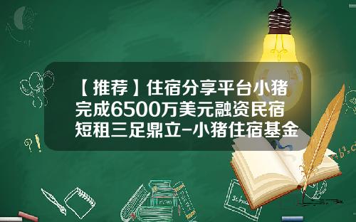 【推荐】住宿分享平台小猪完成6500万美元融资民宿短租三足鼎立-小猪住宿基金有什么用