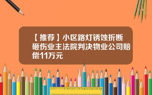 【推荐】小区路灯锈蚀折断砸伤业主法院判决物业公司赔偿11万元