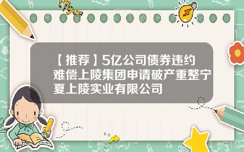 【推荐】5亿公司债券违约难偿上陵集团申请破产重整宁夏上陵实业有限公司
