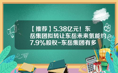 【推荐】5.38亿元！东岳集团拟转让东岳未来氢能约7.9%股权-东岳集团有多少股东
