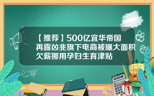 【推荐】500亿宜华帝国再露凶兆旗下电商被曝大面积欠薪挪用孕妇生育津贴