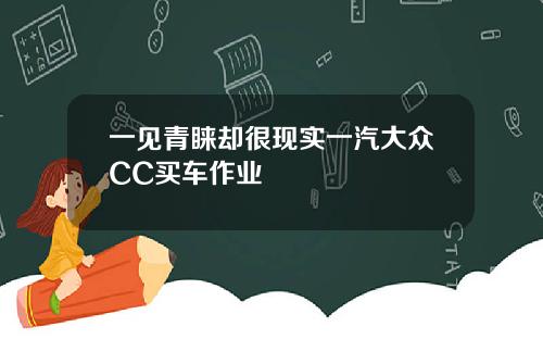 一见青睐却很现实一汽大众CC买车作业