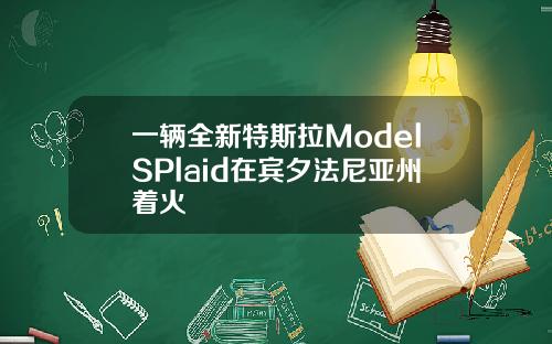 一辆全新特斯拉ModelSPlaid在宾夕法尼亚州着火