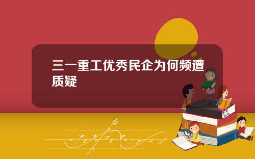 三一重工优秀民企为何频遭质疑