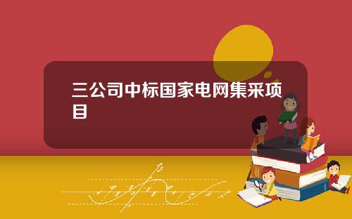 三公司中标国家电网集采项目