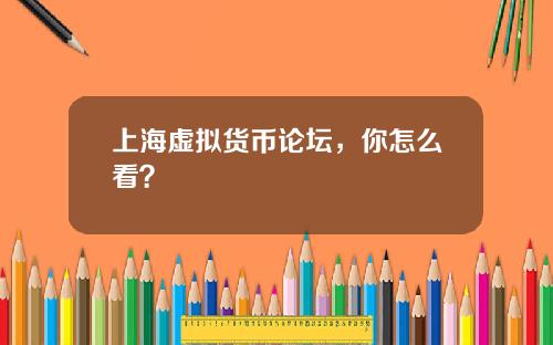 上海虚拟货币论坛，你怎么看？