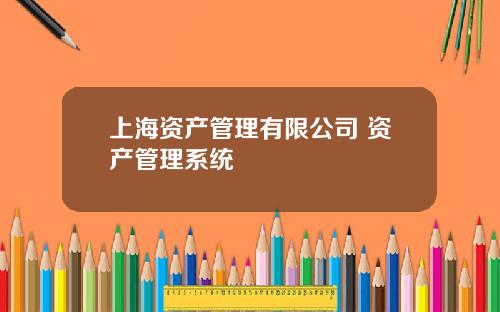 上海资产管理有限公司 资产管理系统
