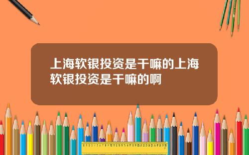 上海软银投资是干嘛的上海软银投资是干嘛的啊