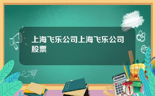 上海飞乐公司上海飞乐公司股票