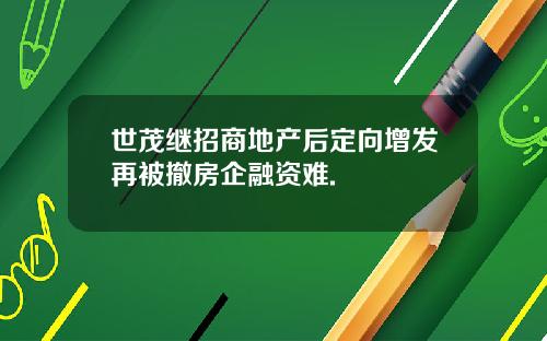 世茂继招商地产后定向增发再被撤房企融资难.