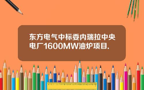 东方电气中标委内瑞拉中央电厂1600MW油炉项目.