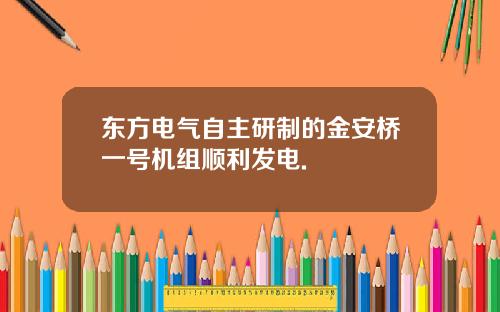 东方电气自主研制的金安桥一号机组顺利发电.