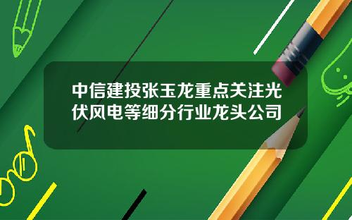 中信建投张玉龙重点关注光伏风电等细分行业龙头公司