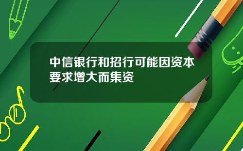 中信银行和招行可能因资本要求增大而集资
