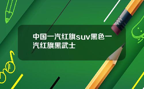 中国一汽红旗suv黑色一汽红旗黑武士
