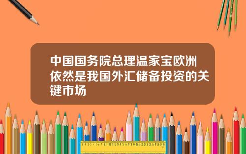 中国国务院总理温家宝欧洲依然是我国外汇储备投资的关键市场