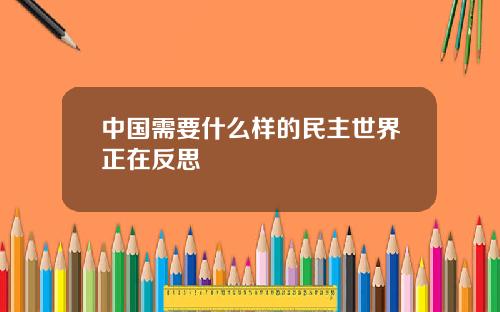 中国需要什么样的民主世界正在反思