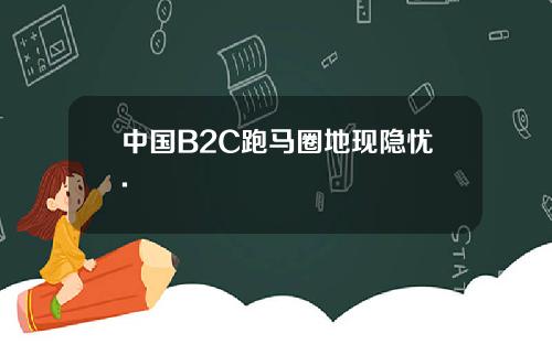 中国B2C跑马圈地现隐忧.