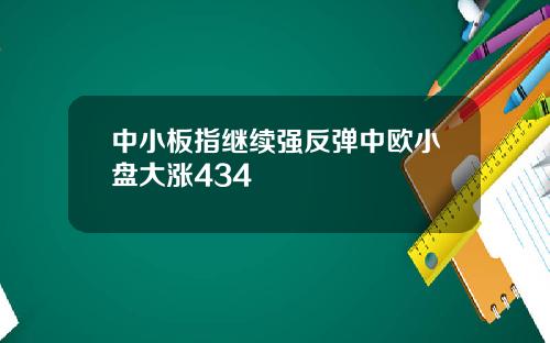 中小板指继续强反弹中欧小盘大涨434